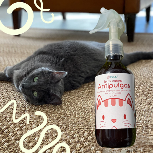 Spray Natural Antipulgas para Gatos Adultos