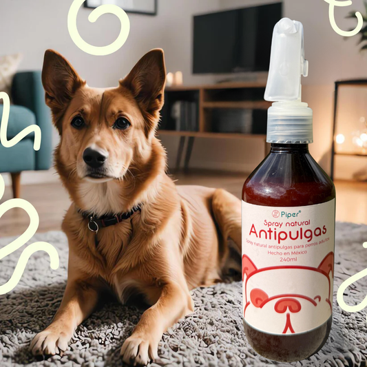 Spray Natural Antipulgas para Perros Adultos