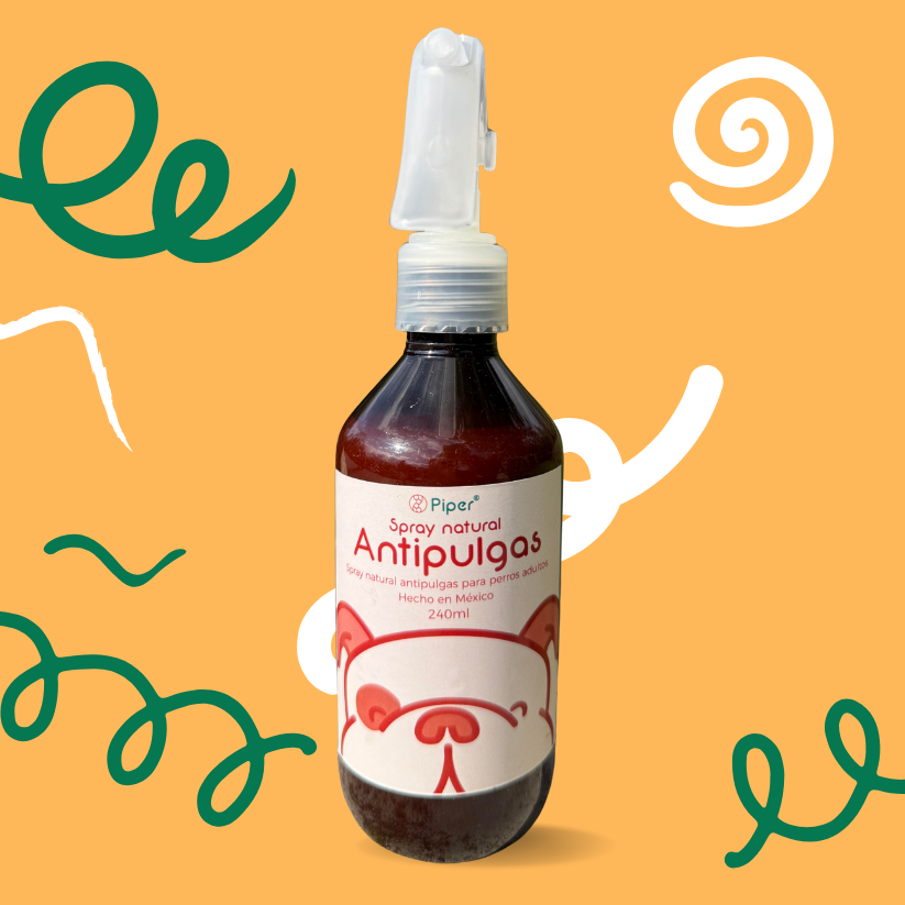 Kit Antipulgas Familiar